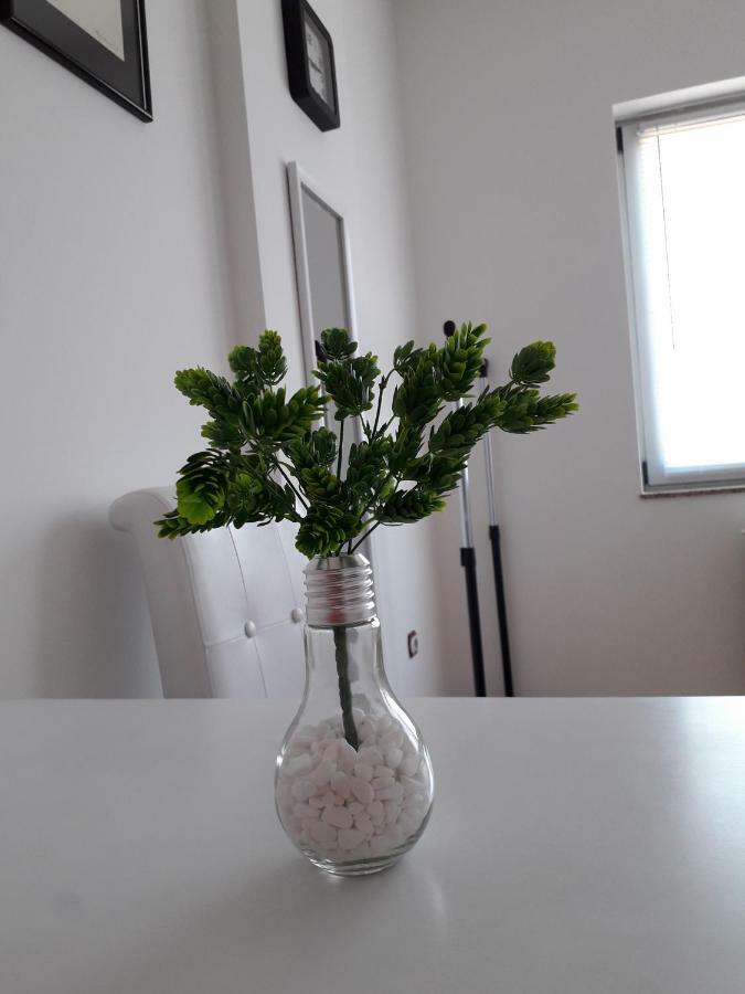Apartman Dunja Ns 2 Novi Sad Eksteriør billede