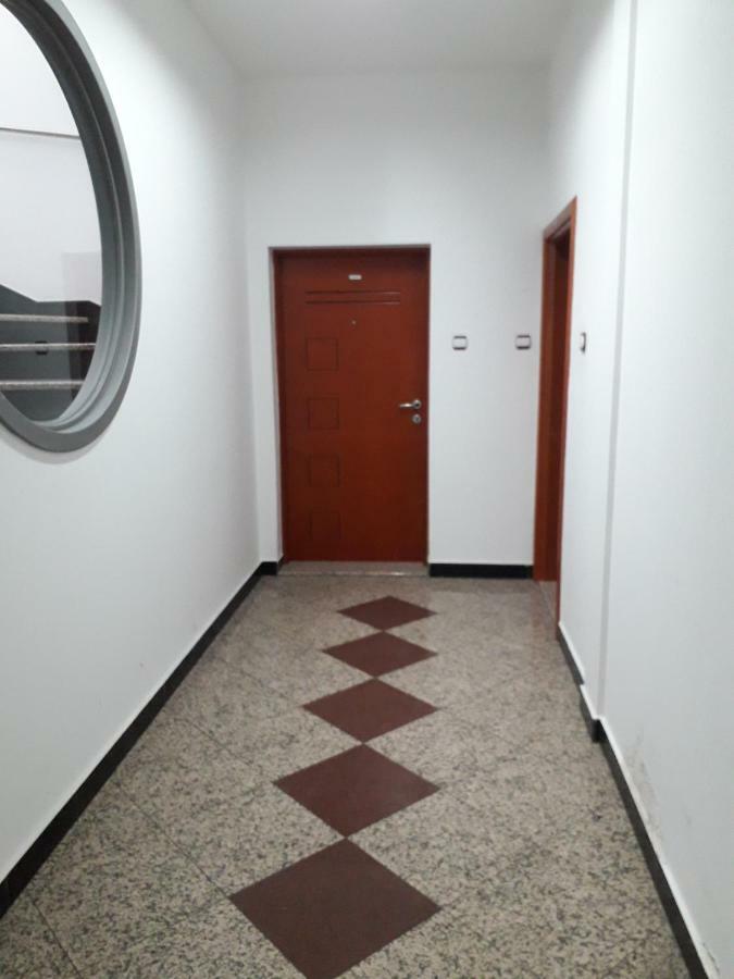 Apartman Dunja Ns 2 Novi Sad Eksteriør billede