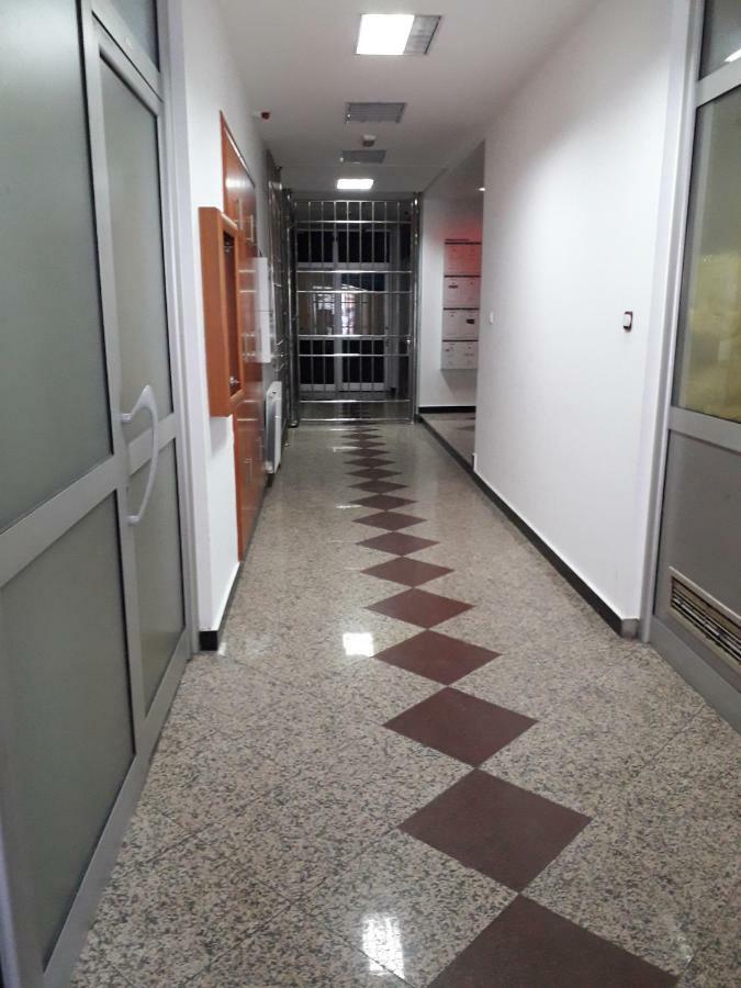 Apartman Dunja Ns 2 Novi Sad Eksteriør billede