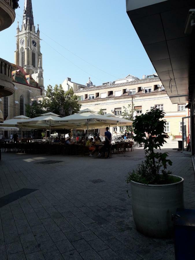 Apartman Dunja Ns 2 Novi Sad Eksteriør billede
